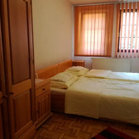 Sinija Bascarsija SJJ
